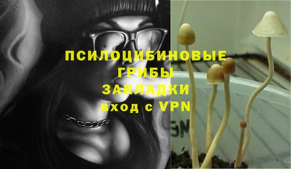 ГАЛЛЮЦИНОГЕННЫЕ ГРИБЫ Верея