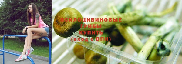 ГАЛЛЮЦИНОГЕННЫЕ ГРИБЫ Верея