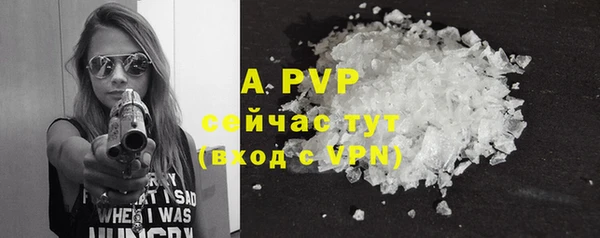 ГАЛЛЮЦИНОГЕННЫЕ ГРИБЫ Верея