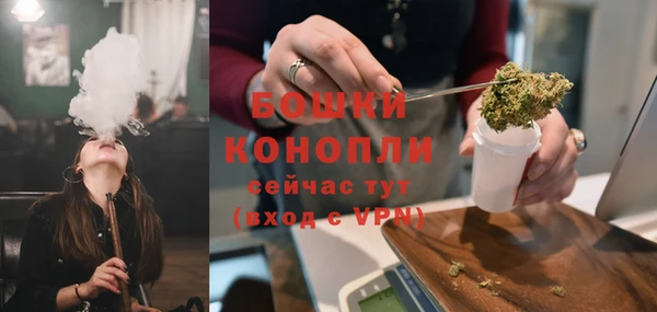 ГАЛЛЮЦИНОГЕННЫЕ ГРИБЫ Верея