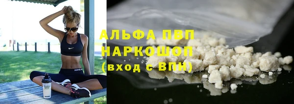 ГАЛЛЮЦИНОГЕННЫЕ ГРИБЫ Верея