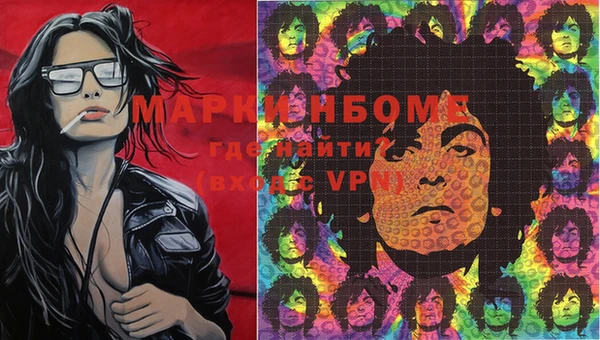 ГАЛЛЮЦИНОГЕННЫЕ ГРИБЫ Верея