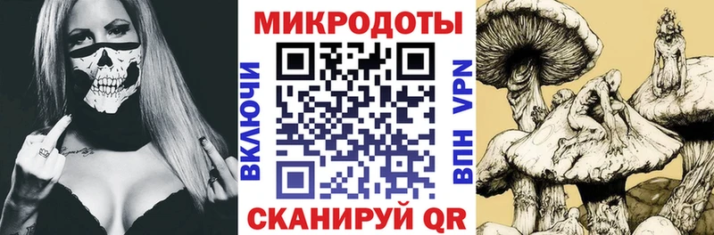 Купить где  Малая Вишера  Галлюциногенные грибы мицелий 